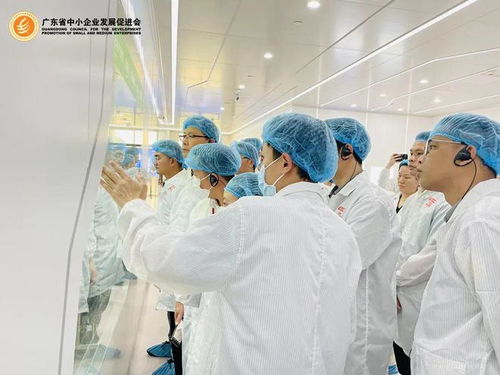 会员服务 直击世界一流的透明工厂，简直大开眼界